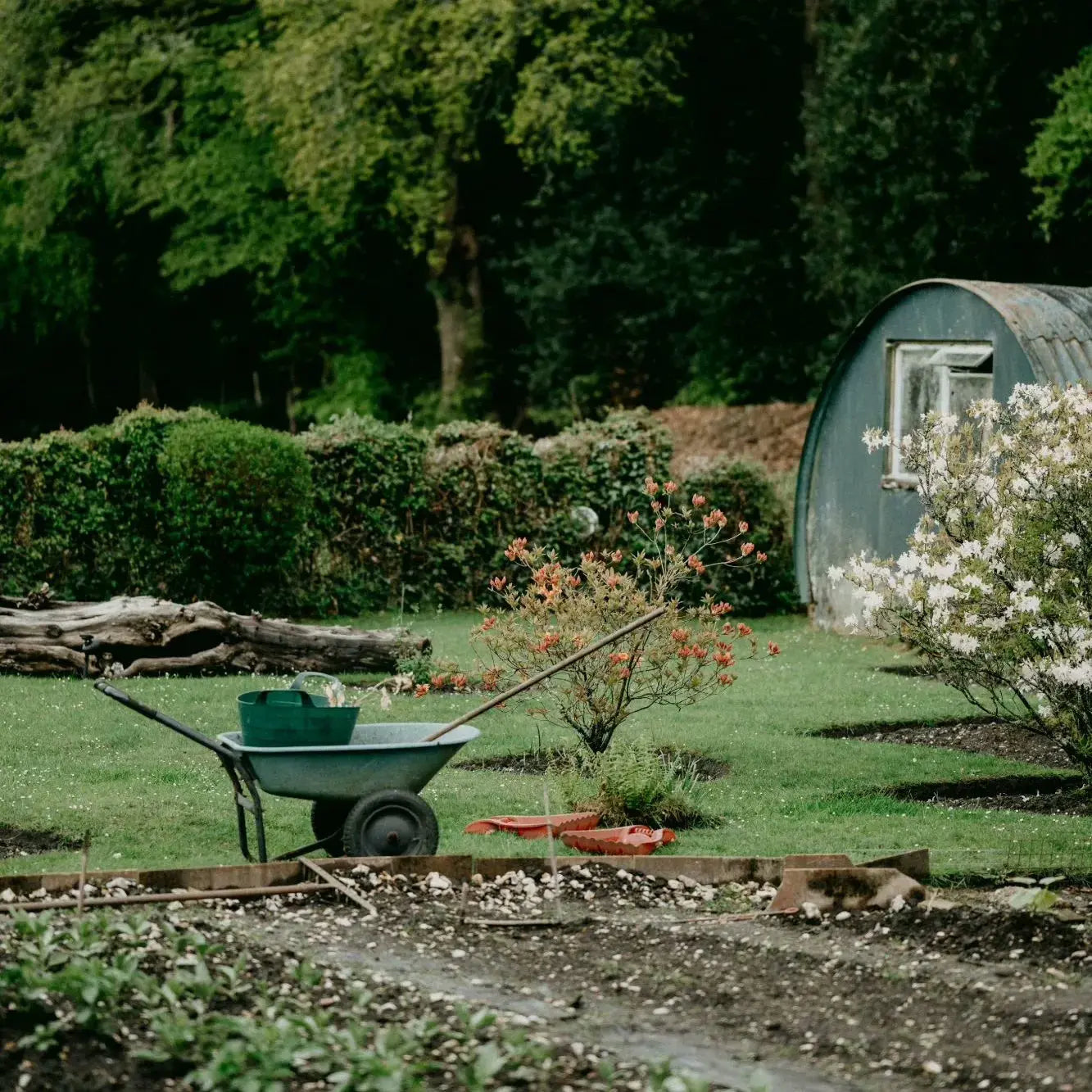 Eight Things to Consider Before Investing in a Greenhouse Grandio Greenhouse