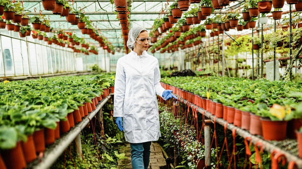Greenhouse Humidity Control
