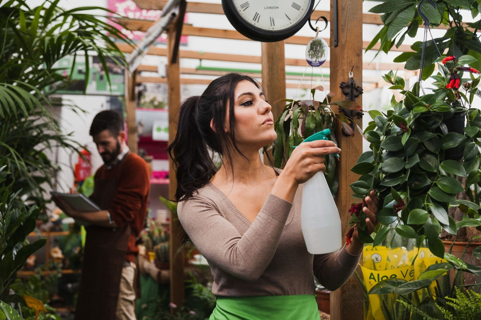 Why Does My Greenhouse Get Too Hot In Summer?