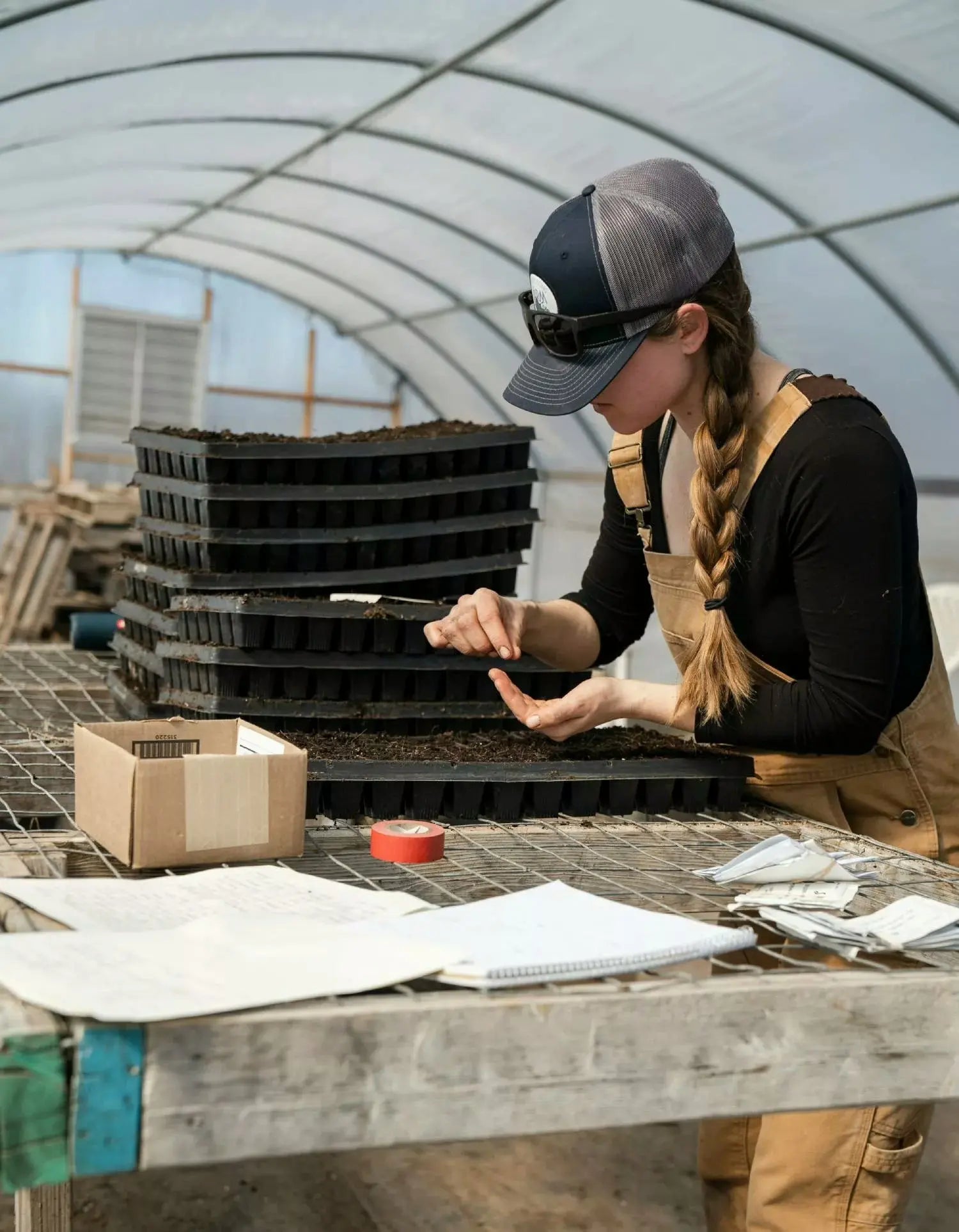 Starting Seeds in a Greenhouse Grandio Greenhouse