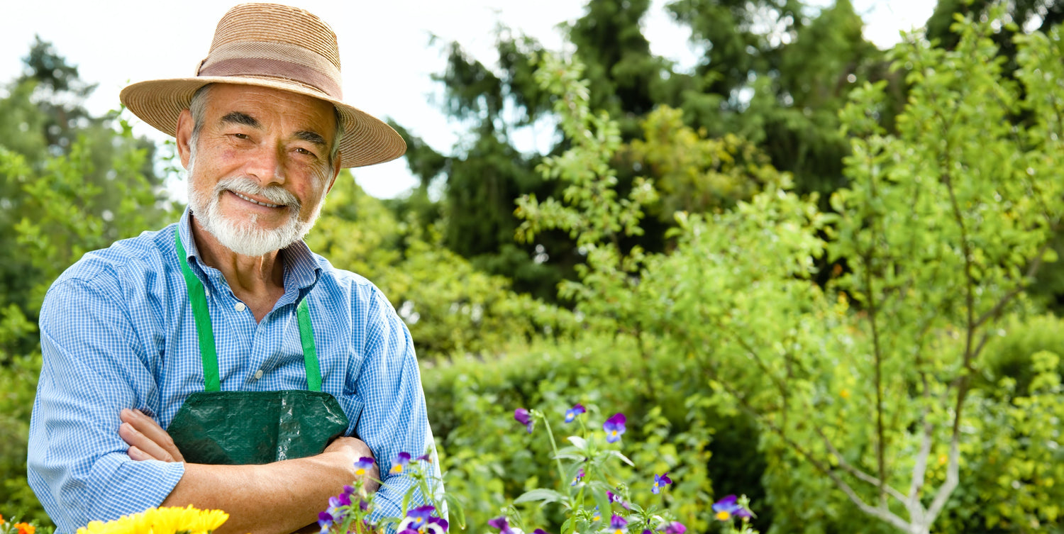 Man in a garden with flowers and plants
