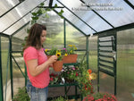 Grandio Element 6x8 Grandio Greenhouses