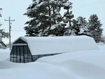 Grandio Summit 12x8 Grandio Greenhouses